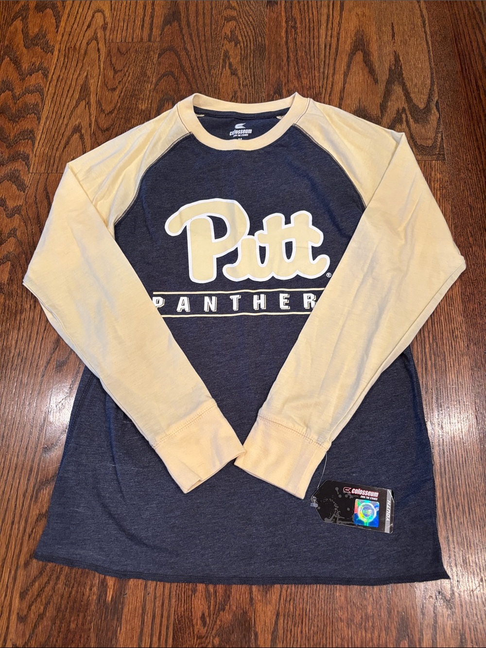 Pitt Panthers Navy and Yellow Raglan Long-Sleeve Tee